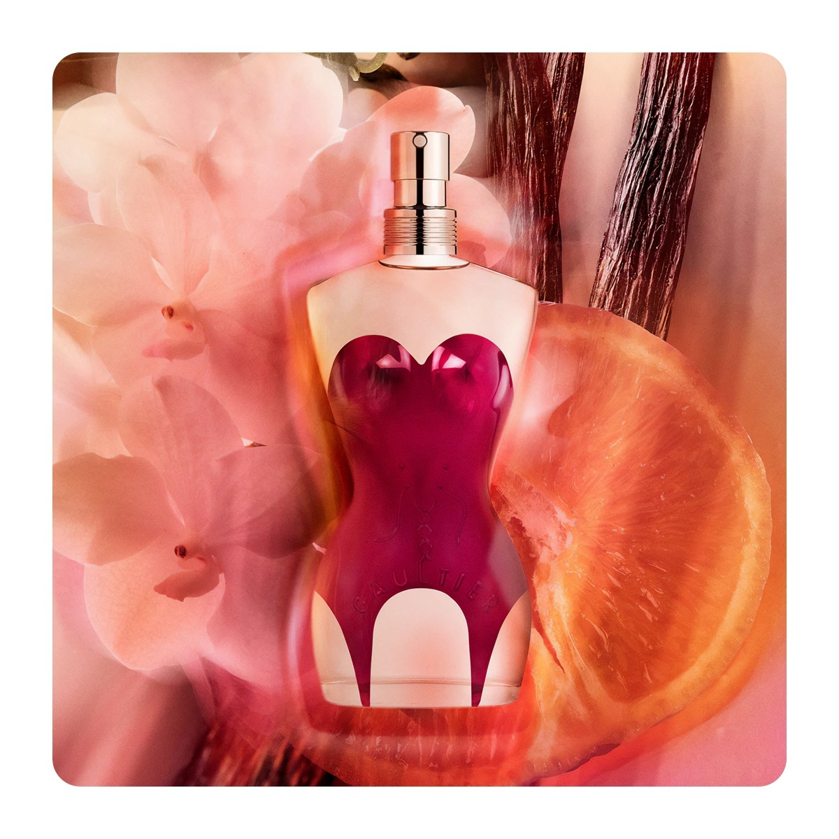 Perfume Classique Jean Paul Gaultier 100ml EDP