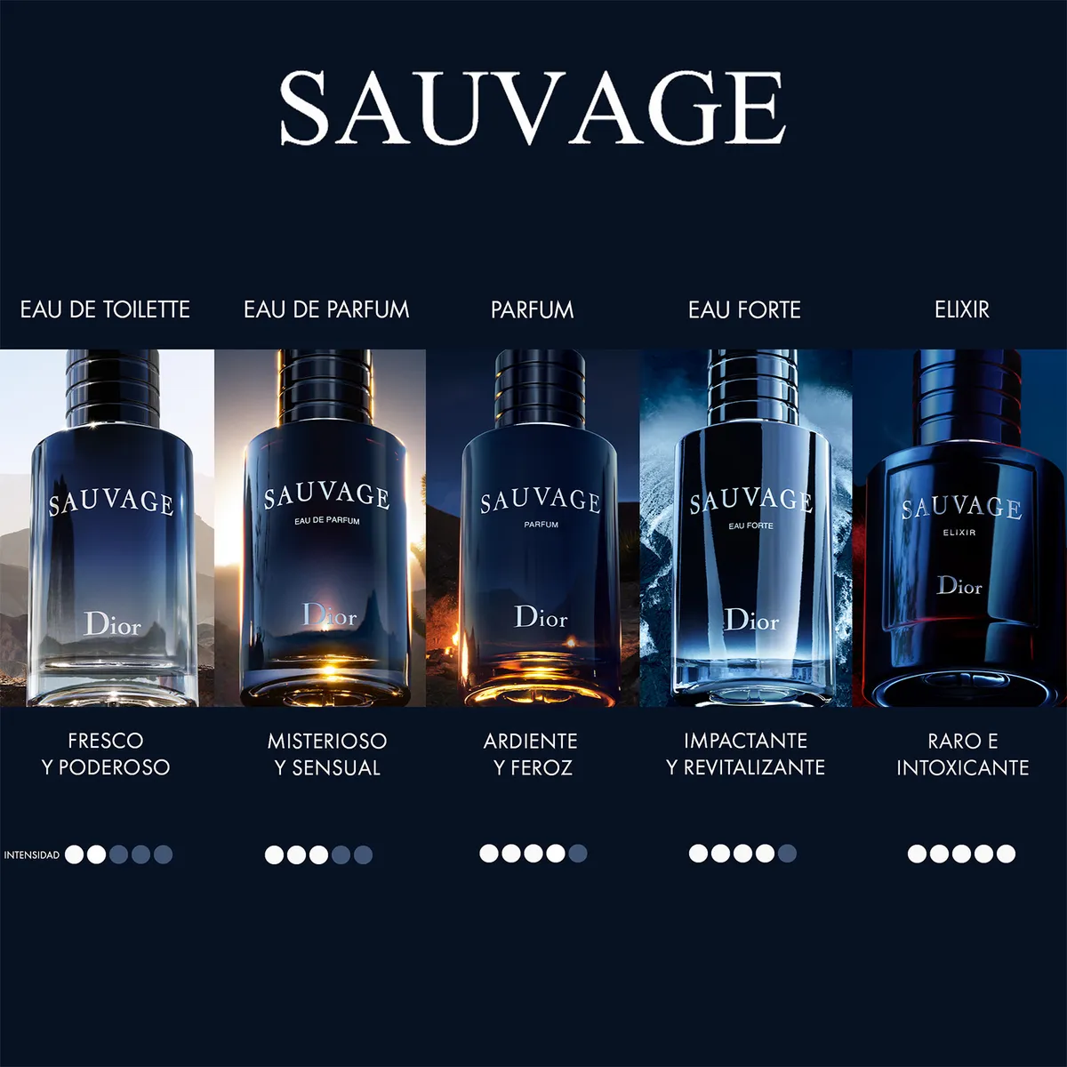 Perfume Sauvage Elixir Dior 100ml EDP