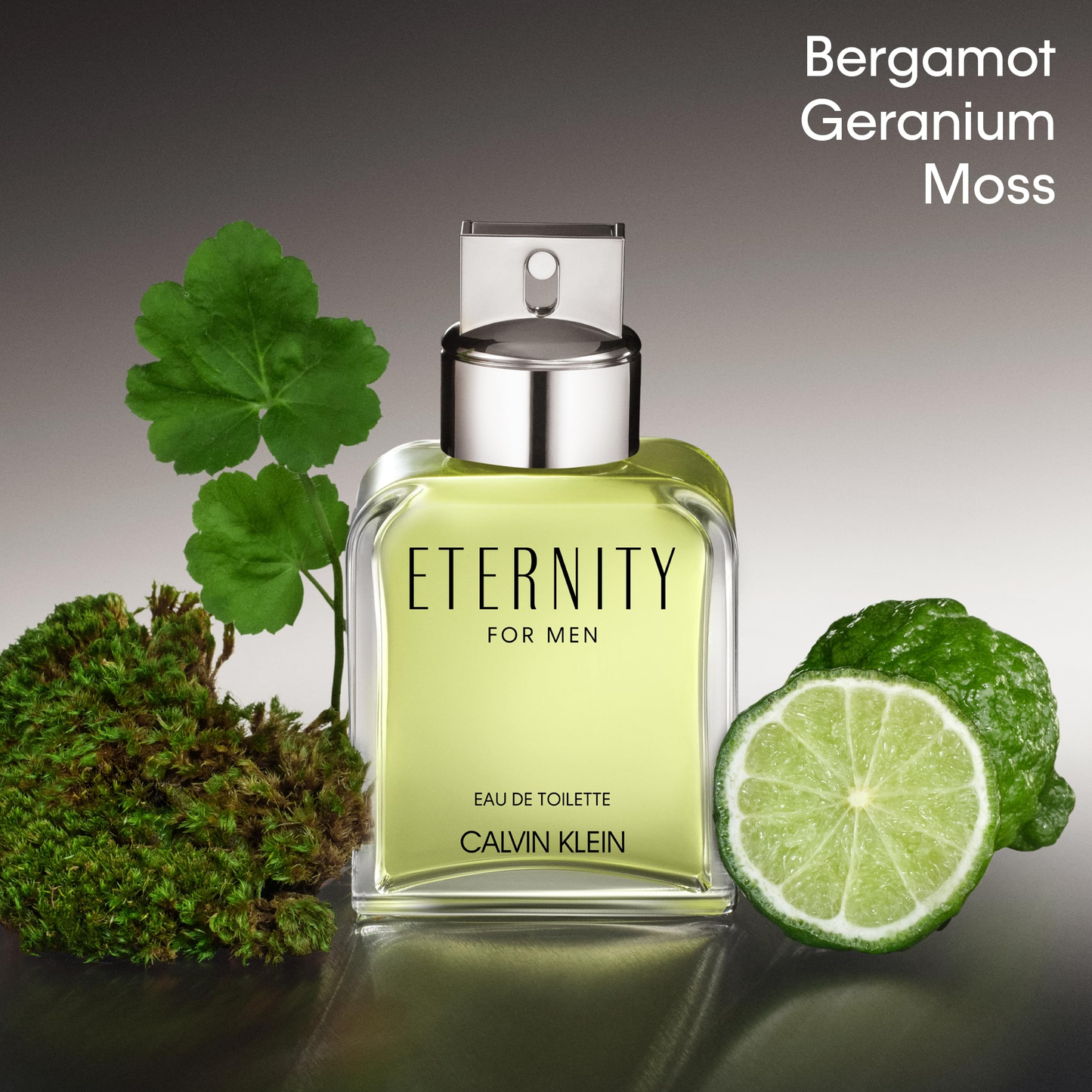 Perfume Eternity For Men Calvin Klein 100ml EDT