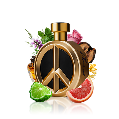Perfume Bharara Placid 100ml Parfum